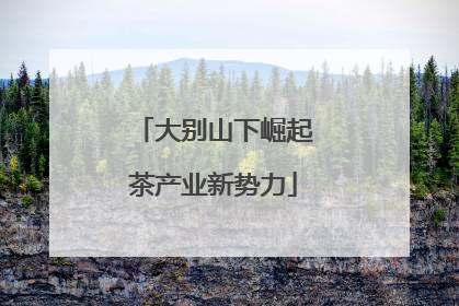 大别山下崛起茶产业新势力
