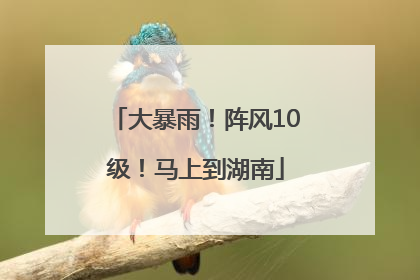 大暴雨！阵风10级！马上到湖南