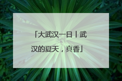 大武汉一日丨武汉的夏天，真香
