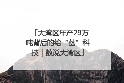 大湾区年产29万吨背后的给“荔”科技｜数说大湾区