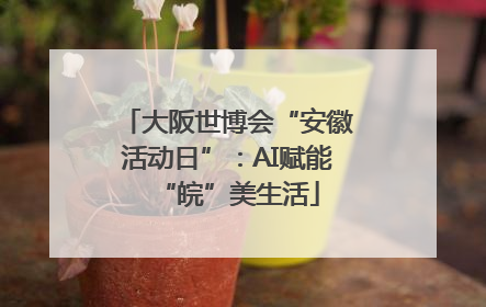 大阪世博会“安徽活动日”：AI赋能“皖”美生活
