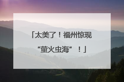 太美了！福州惊现“萤火虫海”！
