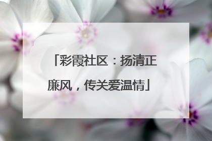 彩霞社区：扬清正廉风，传关爱温情