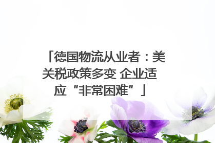 德国物流从业者：美关税政策多变 企业适应“非常困难”