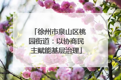 徐州市泉山区桃园街道：以协商民主赋能基层治理