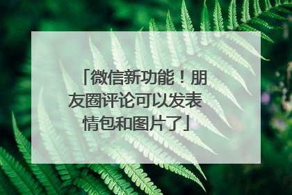 微信新功能！朋友圈评论可以发表情包和图片了