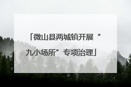 微山县两城镇开展“九小场所”专项治理