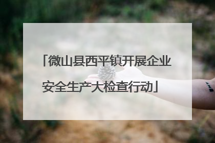 微山县西平镇开展企业安全生产大检查行动