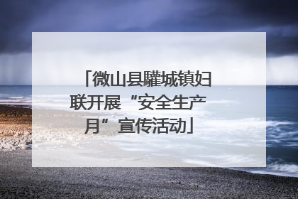 微山县驩城镇妇联开展“安全生产月”宣传活动