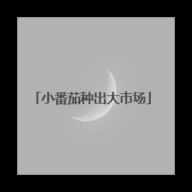 小番茄种出大市场