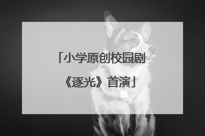 小学原创校园剧《逐光》首演