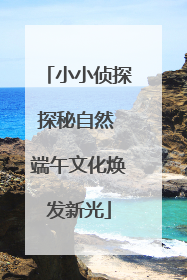 小小侦探探秘自然 端午文化焕发新光
