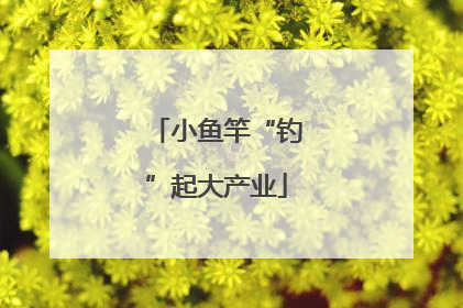 小鱼竿“钓”起大产业