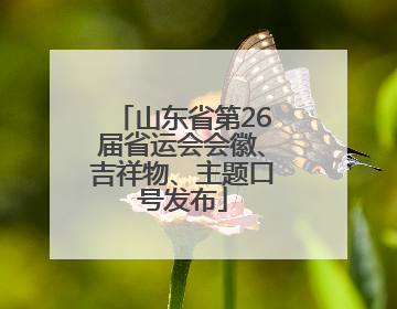 山东省第26届省运会会徽、吉祥物、主题口号发布