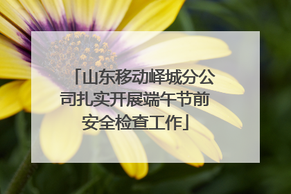 山东移动峄城分公司扎实开展端午节前安全检查工作