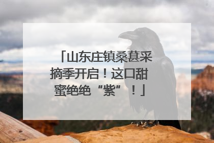 山东庄镇桑葚采摘季开启！这口甜蜜绝绝“紫”！