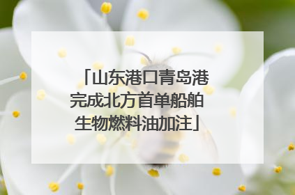 山东港口青岛港完成北方首单船舶生物燃料油加注