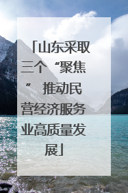 山东采取三个“聚焦” 推动民营经济服务业高质量发展