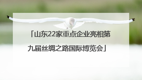 山东22家重点企业亮相第九届丝绸之路国际博览会