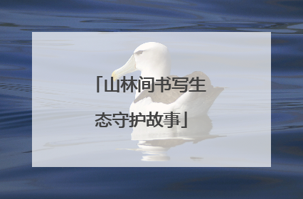 山林间书写生态守护故事