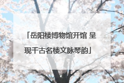 岳阳楼博物馆开馆 呈现千古名楼文脉琴韵