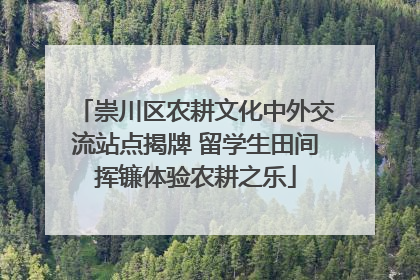 崇川区农耕文化中外交流站点揭牌 留学生田间挥镰体验农耕之乐