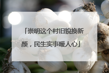 崇明这个村旧貌换新颜，民生实事暖人心
