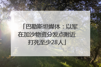 巴勒斯坦媒体：以军在加沙物资分发点附近打死至少28人