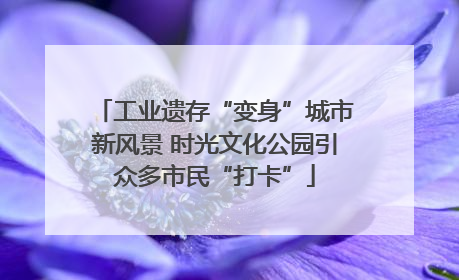 工业遗存“变身”城市新风景 时光文化公园引众多市民“打卡”