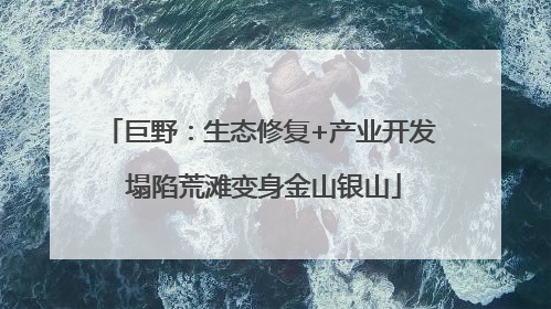 巨野：生态修复+产业开发 塌陷荒滩变身金山银山