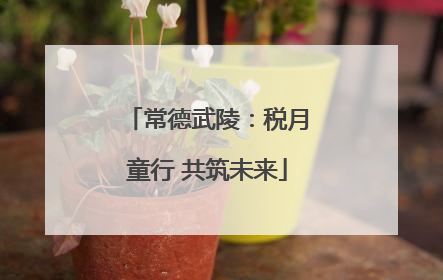 常德武陵：税月童行 共筑未来