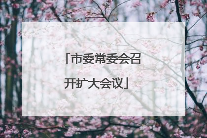 市委常委会召开扩大会议
