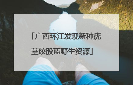 广西环江发现新种疣茎绞股蓝野生资源
