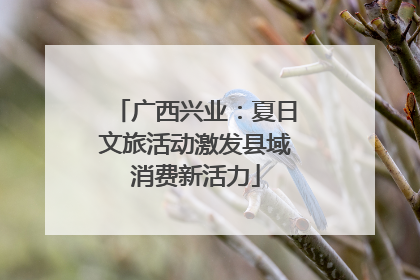 广西兴业：夏日文旅活动激发县域消费新活力
