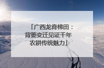 广西龙脊梯田：背篓变迁见证千年农耕传统魅力
