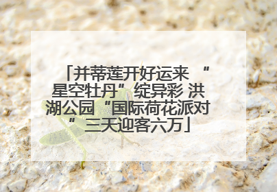 并蒂莲开好运来 “星空牡丹”绽异彩 洪湖公园“国际荷花派对”三天迎客六万