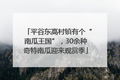 平谷东高村镇有个“南瓜王国”，30余种奇特南瓜迎来观赏季