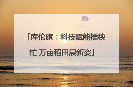 库伦旗：科技赋能插秧忙 万亩稻田展新姿