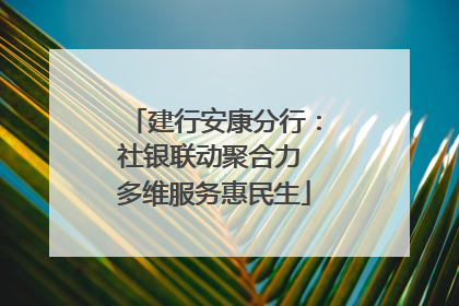 建行安康分行：社银联动聚合力 多维服务惠民生