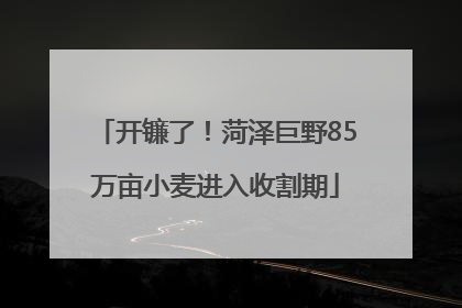 开镰了！菏泽巨野85万亩小麦进入收割期