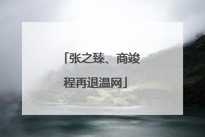 张之臻、商竣程再退温网