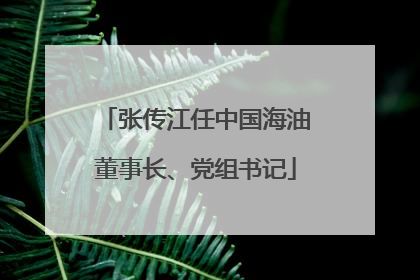 张传江任中国海油董事长、党组书记