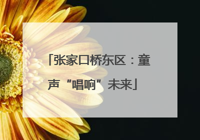 张家口桥东区：童声“唱响”未来