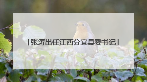 张涛出任江西分宜县委书记
