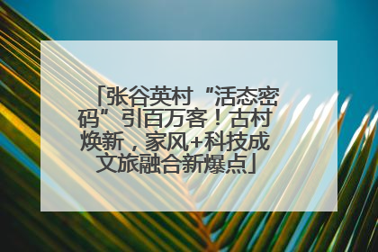 张谷英村“活态密码”引百万客！古村焕新，家风+科技成文旅融合新爆点