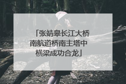 张靖皋长江大桥南航道桥南主塔中横梁成功合龙