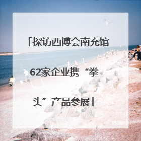 探访西博会南充馆 62家企业携“拳头”产品参展