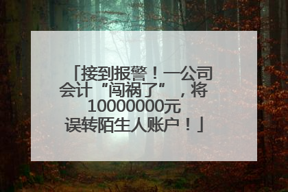 接到报警！一公司会计“闯祸了”，将10000000元误转陌生人账户！