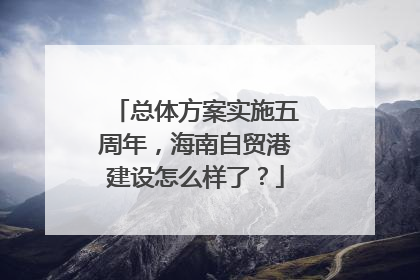 总体方案实施五周年，海南自贸港建设怎么样了？