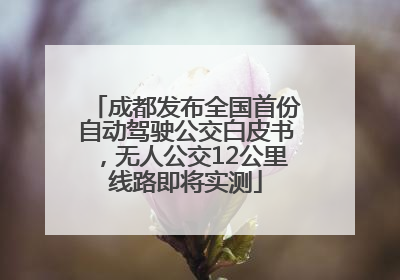 成都发布全国首份自动驾驶公交白皮书，无人公交12公里线路即将实测